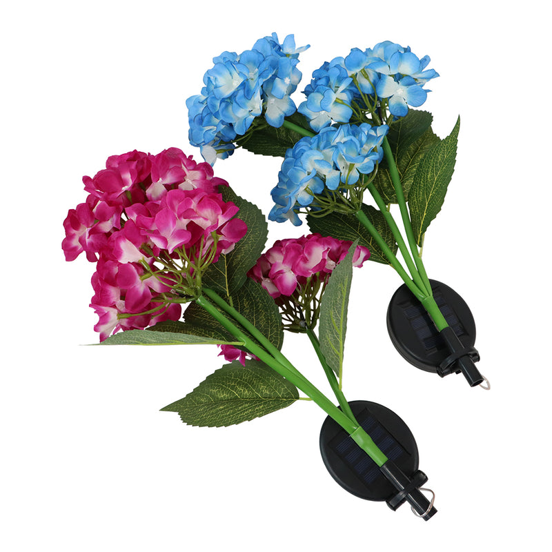 Solcelle Blomst, Hortensia (Hydrangea)