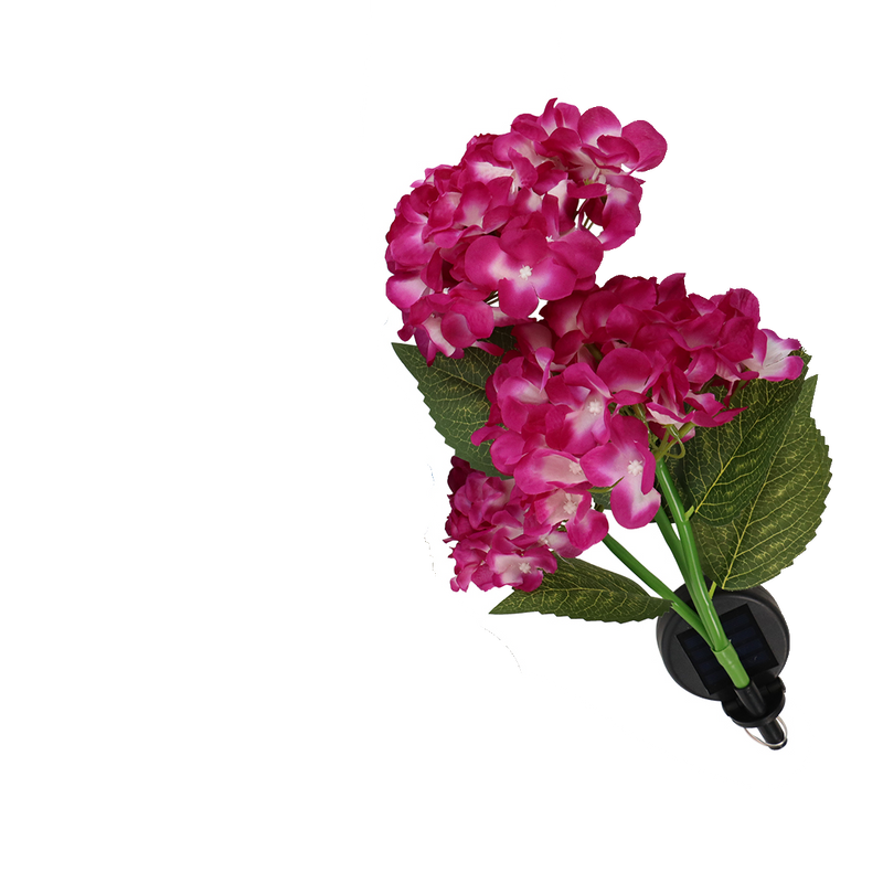 Solcelle Blomst, Hortensia (Hydrangea)