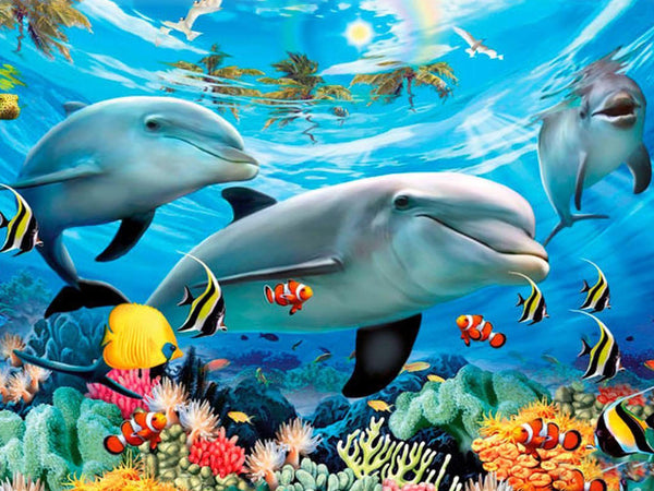 Koraler og Delfiner - 30x40cm