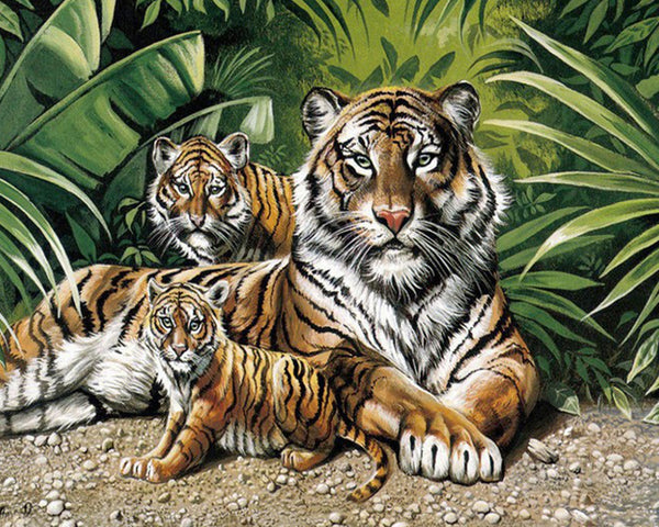 Tiger Familie - 40x50cm