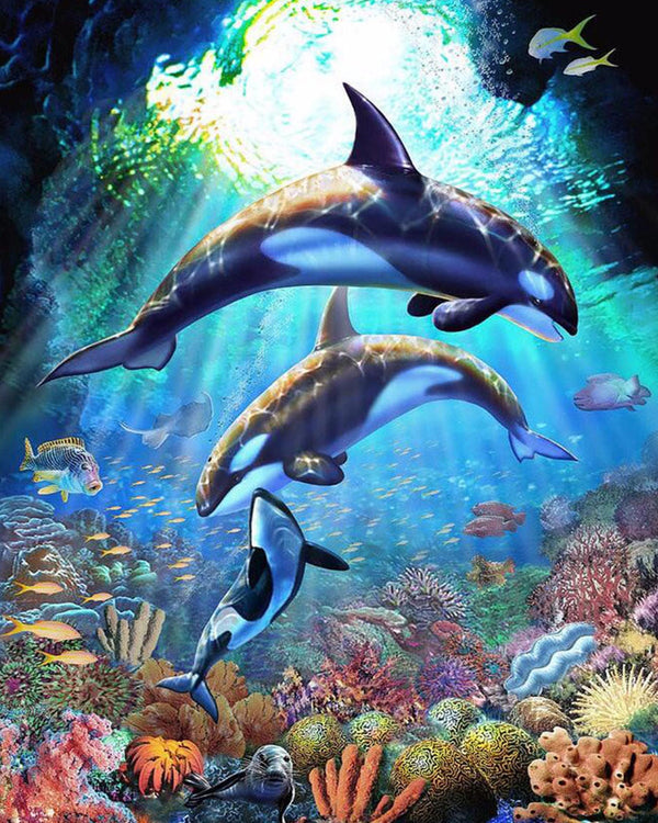 Delfiner I Koralrev - 40x50cm